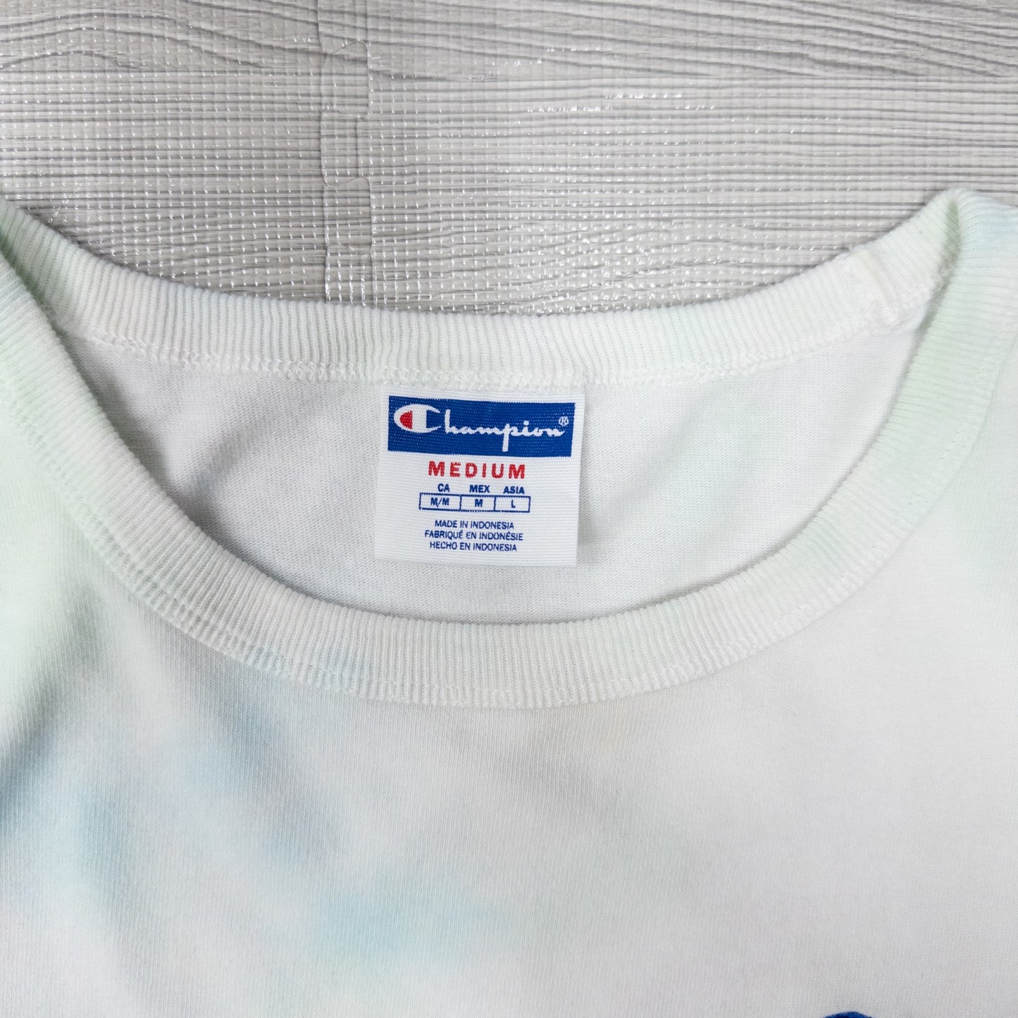 古着卸 現物まとめ売り 洗濯済み チャンピオン 半袖Tシャツ 16枚セット S-XXL