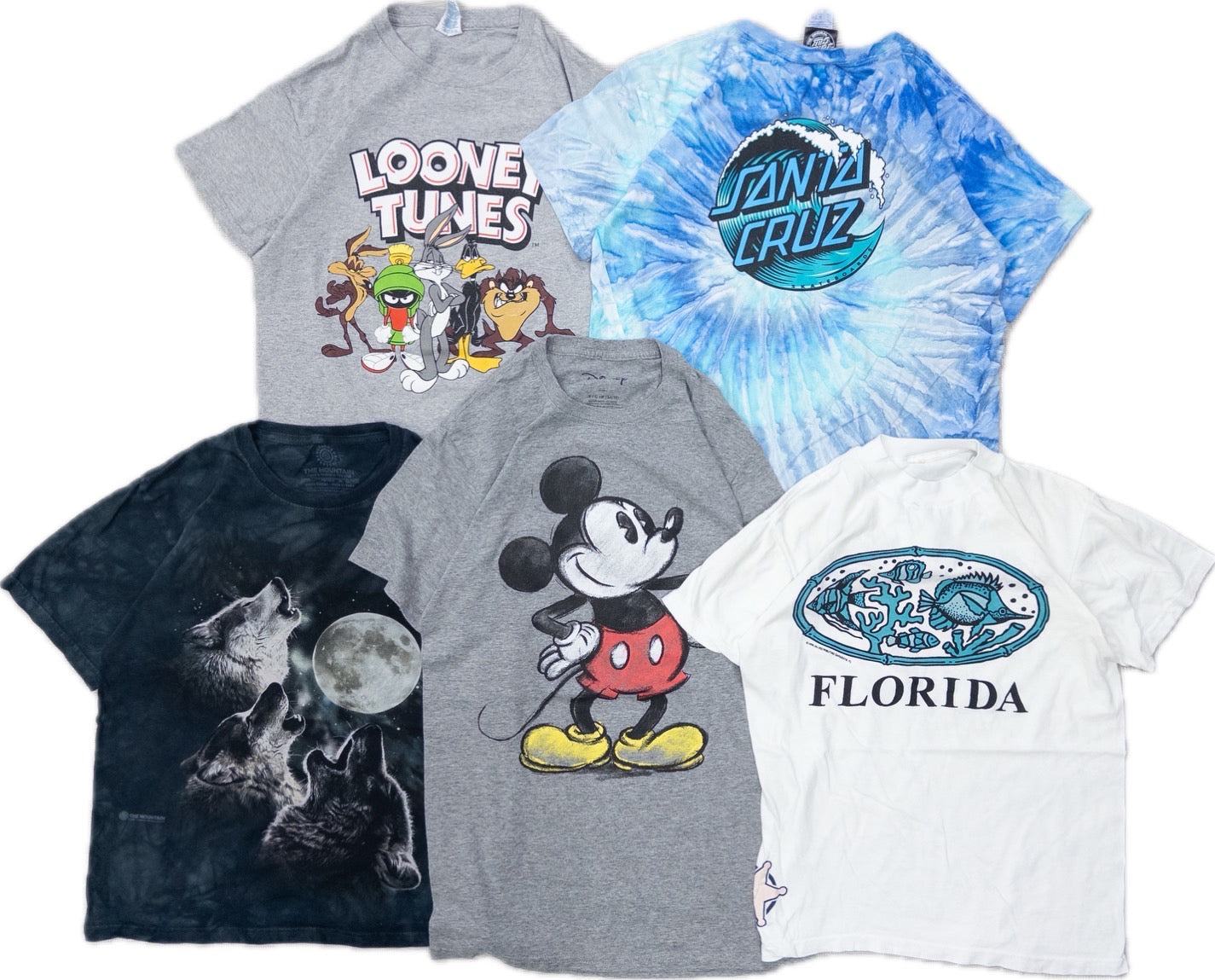 古着卸 現物まとめ売り 洗濯済み USキッズ 半袖Tシャツ 20枚セット (S-XL)