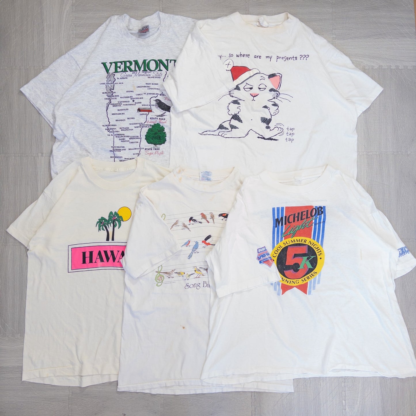 古着卸 現物まとめ売り 洗濯済み 90s 白、グレー半袖Tシャツ 20枚セット(S-XXL) w624001