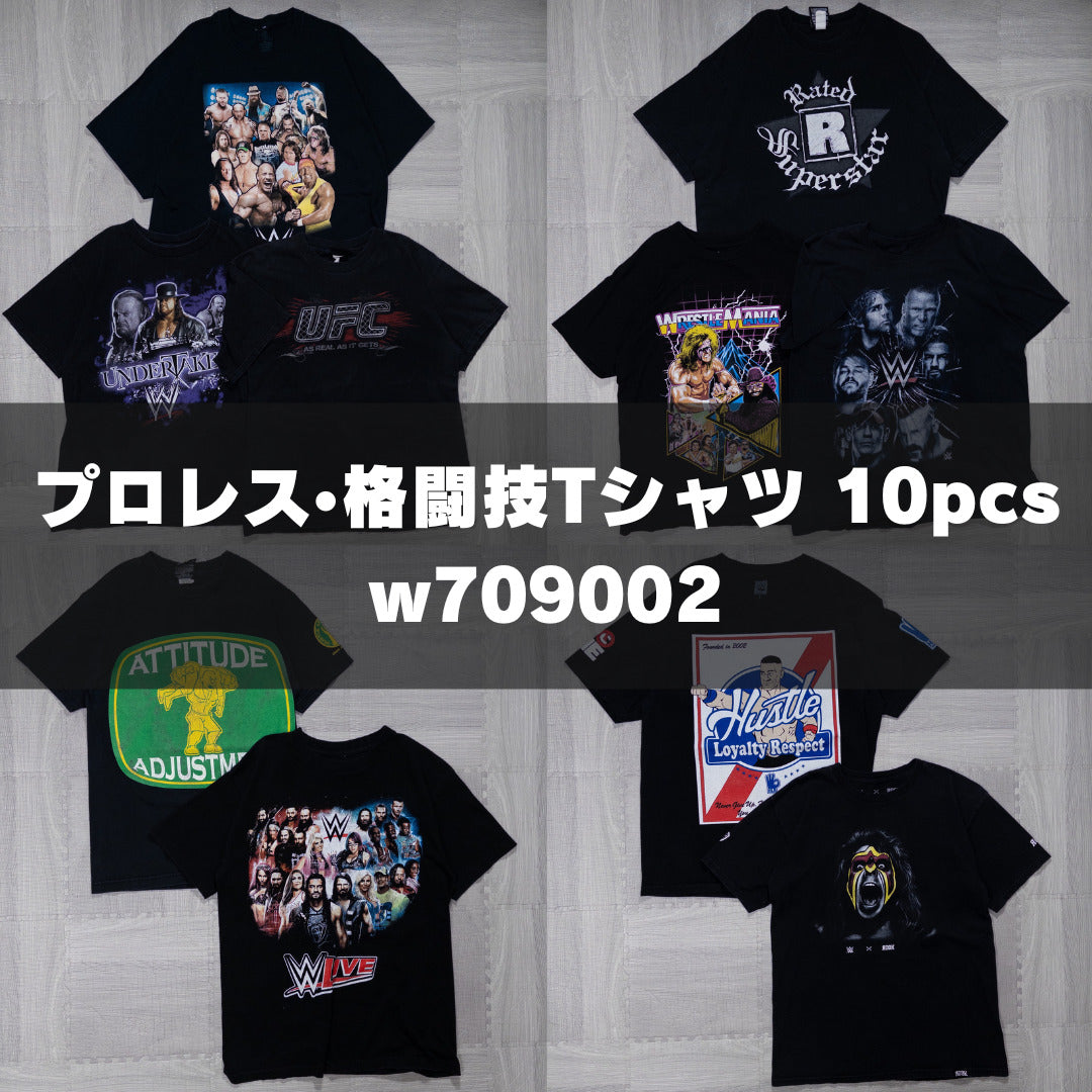 古着卸 現物まとめ売り 洗濯済み プロレス・格闘技Tシャツ 10枚セット(S-XL) w709002 – 埼玉県古着卸WESTTAIL