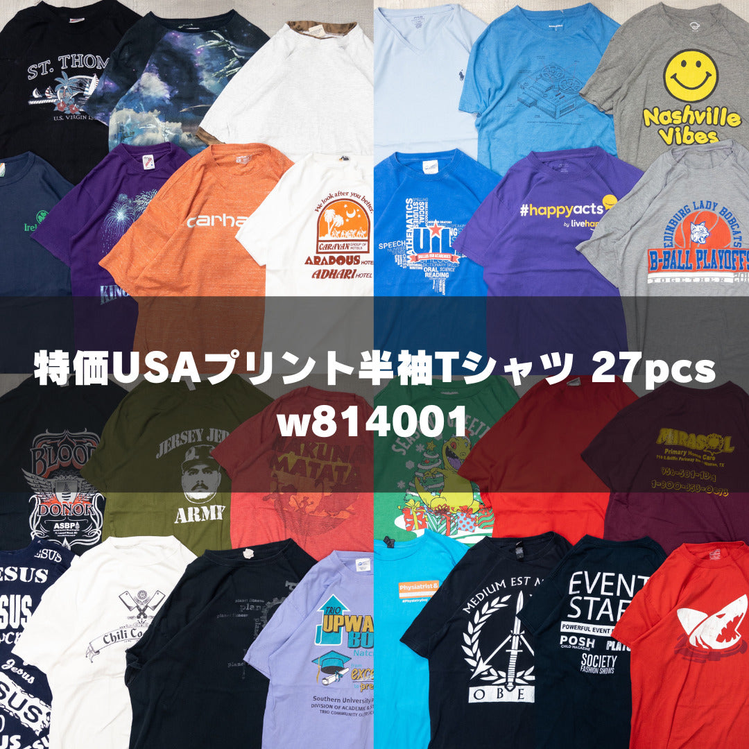古着卸 現物まとめ売り 洗濯済み 特価USAプリント半袖Tシャツ 27枚セット(S-XXXL) w814001