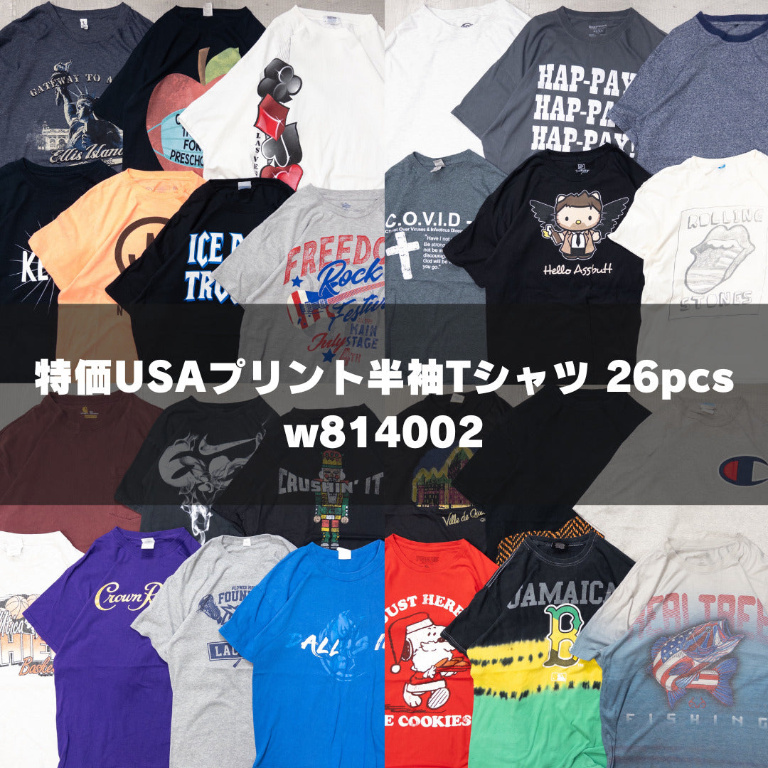 古着卸 現物まとめ売り 洗濯済み 特価USAプリント半袖Tシャツ 26枚セット(S-XXXL) w814002