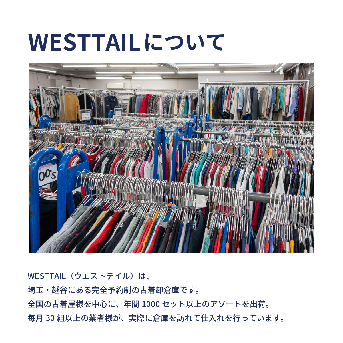 チームカレッジ系Tシャツ