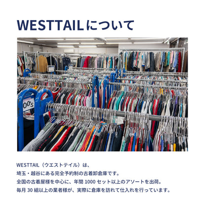 チームカレッジ系Tシャツ
