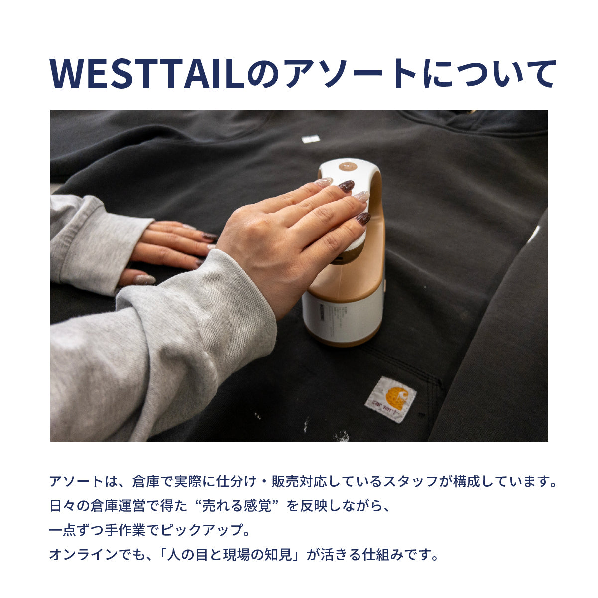 チームカレッジ系Tシャツ