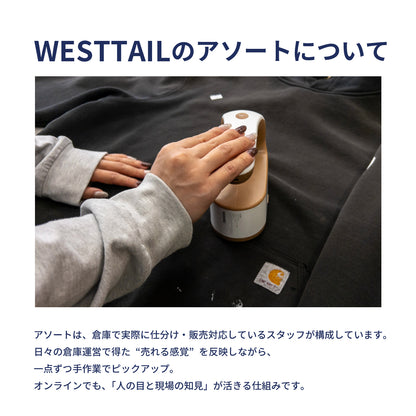 チームカレッジ系Tシャツ