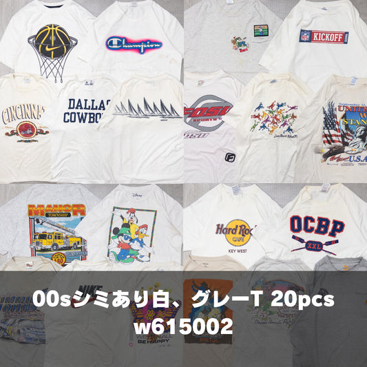 古着卸 現物まとめ売り 洗濯済み 00s～ シミあり 半袖Tシャツ 20枚セット(S-XXL) w615002