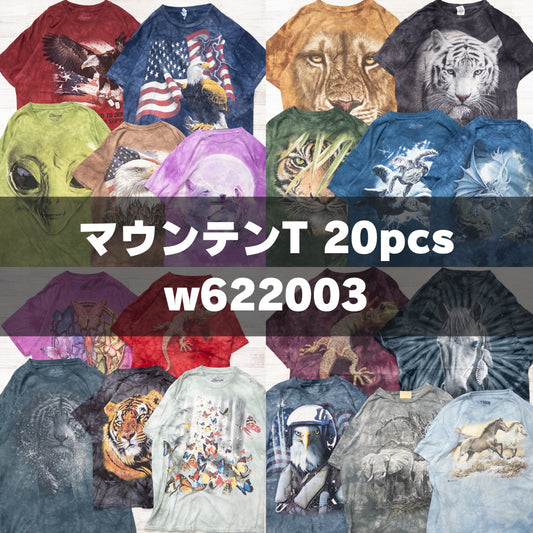 古着卸 現物まとめ売り 洗濯済み マウンテンT 20枚セット(S-XXXL) w622003