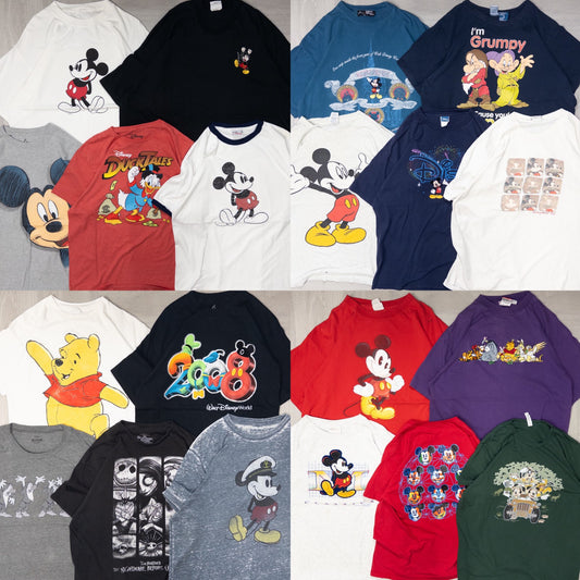 古着卸 現物まとめ売り 洗濯済み Disneyディズニー 半袖Tシャツ 20枚セット(M-XXL) w628002