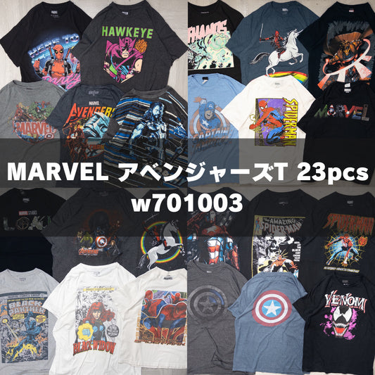 古着卸 現物まとめ売り 洗濯済み MARVEL アベンジャーズ 半袖Tシャツ 23枚セット(S-XXL) w701003