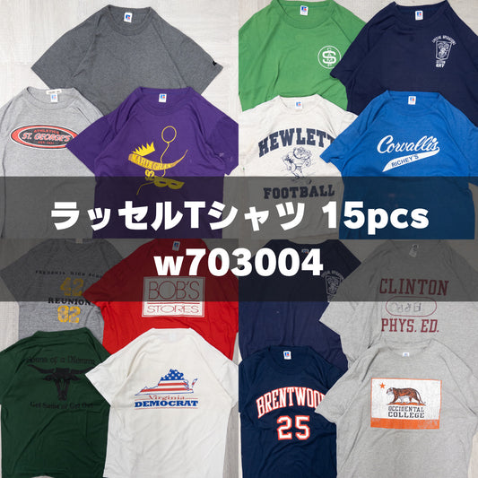 古着卸 現物まとめ売り 洗濯済み ラッセル 半袖Tシャツ 15枚セット(S-XL) w703004