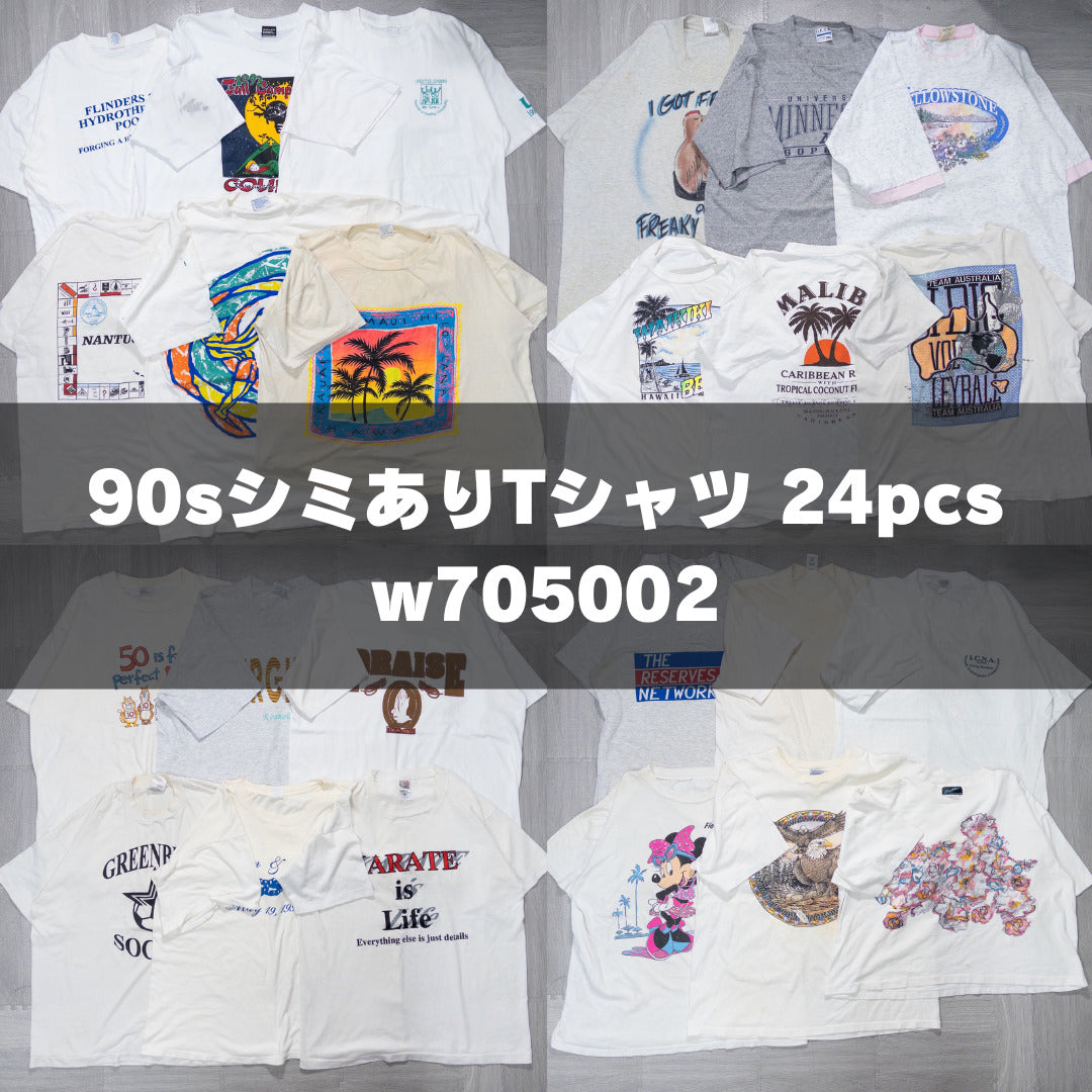 古着卸 現物まとめ売り 洗濯済み 90sシミあり半袖Tシャツ 24枚セット(S-XXL) w705002