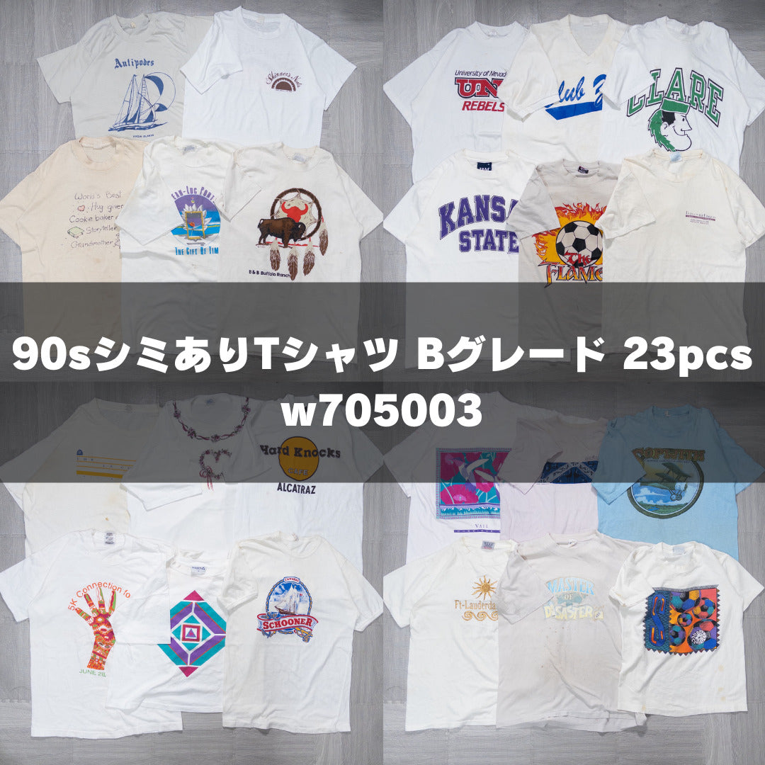 古着卸 現物まとめ売り 洗濯済み 90s シミあり半袖Tシャツ Bグレード 23枚セット(S-XXXL) w705003