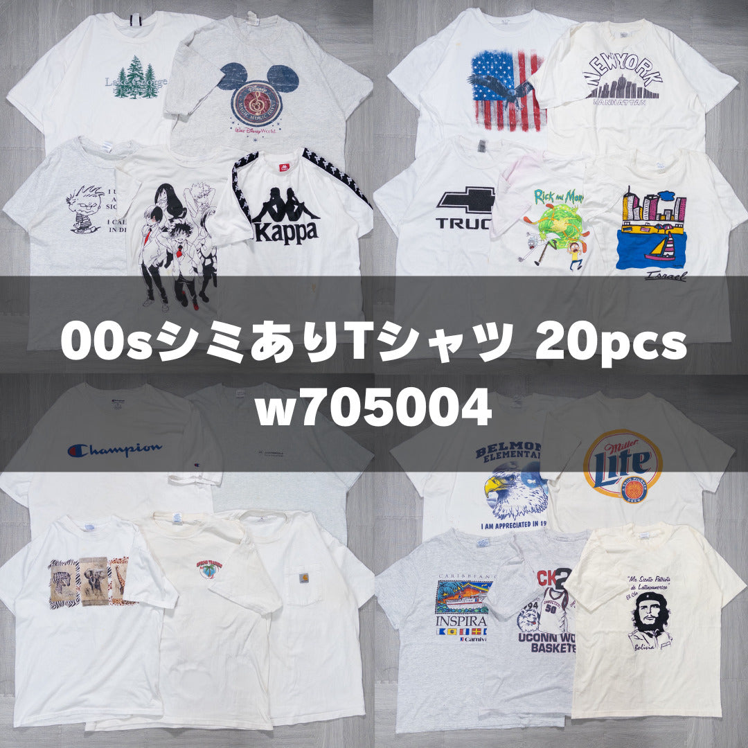 古着卸 現物まとめ売り 洗濯済み 00s シミあり半袖Tシャツ 20枚セット(M-XXXL) w705004