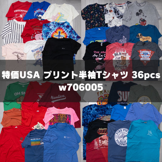 古着卸 現物まとめ売り 洗濯済み 特価USAプリント半袖Tシャツ 36枚セット(S-XXL) w706005