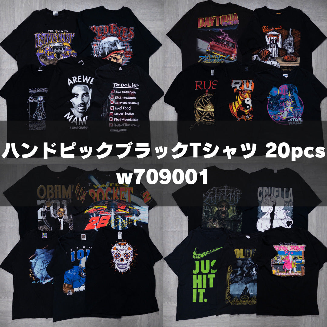 古着卸 現物まとめ売り 洗濯済み ハンドピックブラックTシャツ 20枚セット(M-XXXL) w709001