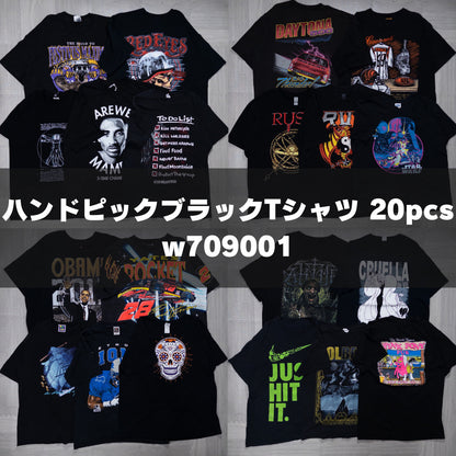 古着卸 現物まとめ売り 洗濯済み ハンドピックブラックTシャツ 20枚セット(M-XXXL) w709001