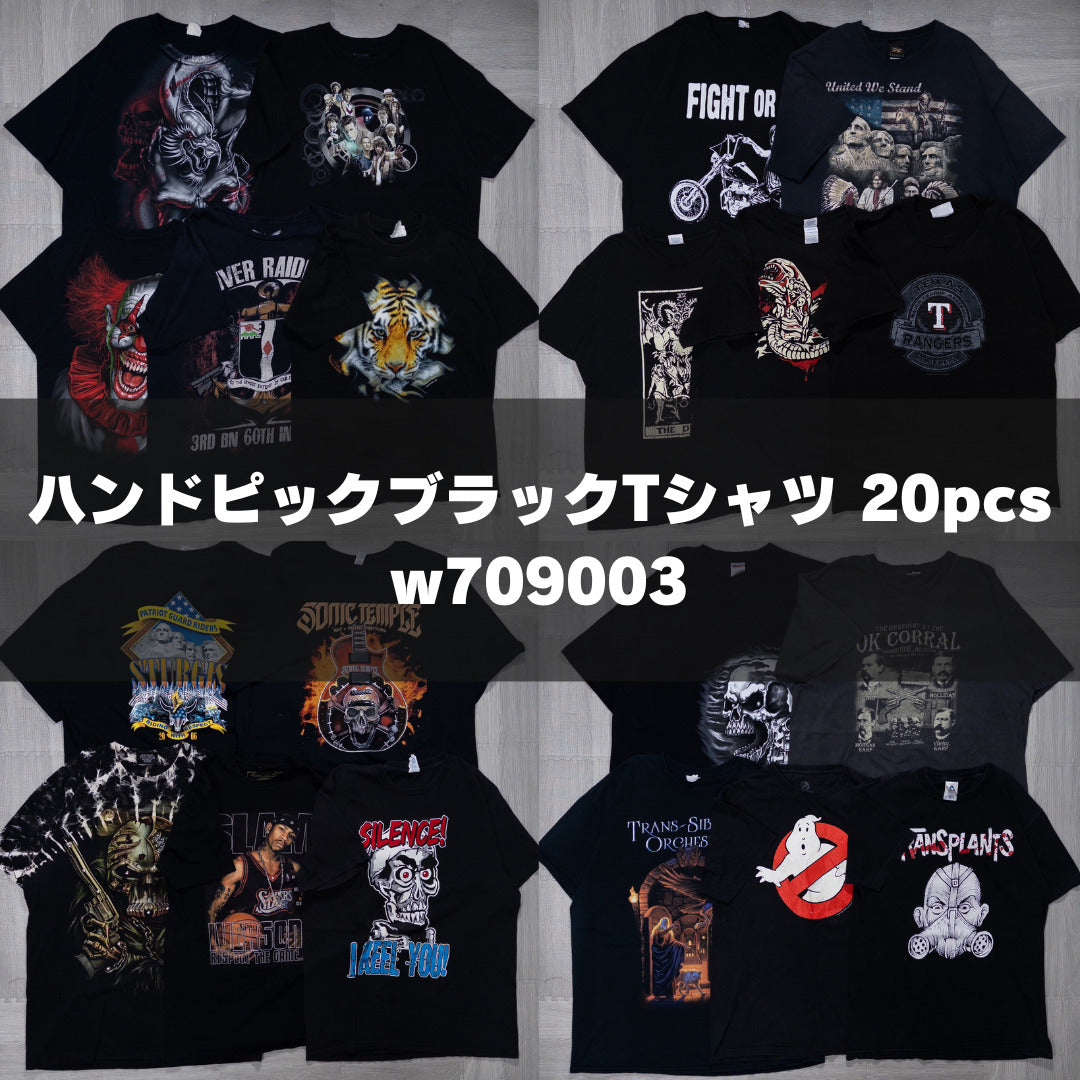 古着卸 現物まとめ売り 洗濯済み ハンドピックブラックTシャツ 20枚セット(M-XXL) w709003