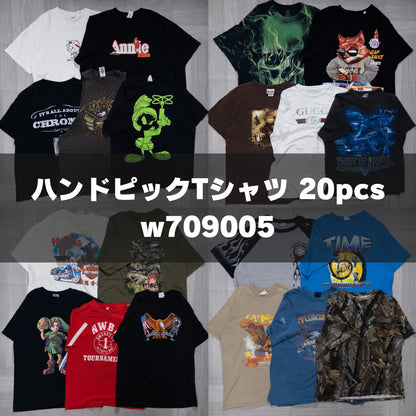 古着卸 現物まとめ売り 洗濯済み ハンドピックTシャツ 20枚セット(M-XXL) w709005