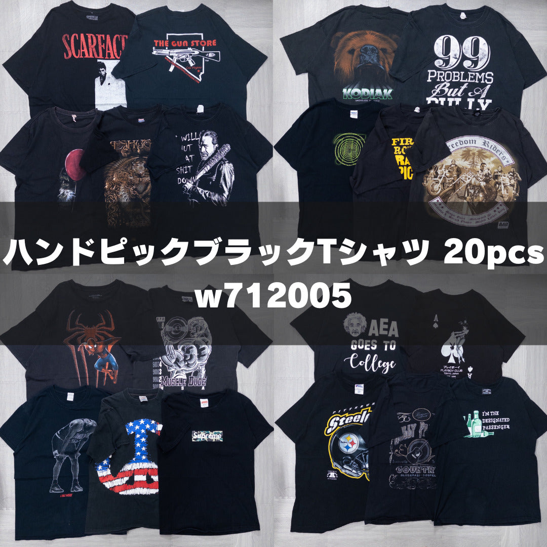 古着卸 現物まとめ売り 洗濯済み ハンドピックTシャツ 25枚セット(M-XXL) w712005 – 埼玉県古着卸WESTTAIL