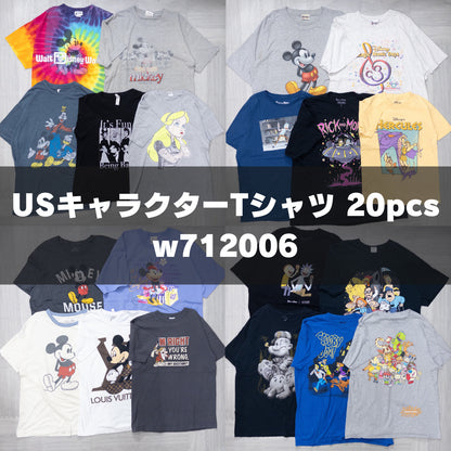 古着卸 現物まとめ売り 洗濯済み USキャラクターTシャツ 20枚セット(S-XXL) w712006