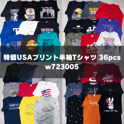 古着卸 現物まとめ売り 洗濯済み 特価USAプリント半袖Tシャツ(S-XXXL) w723005