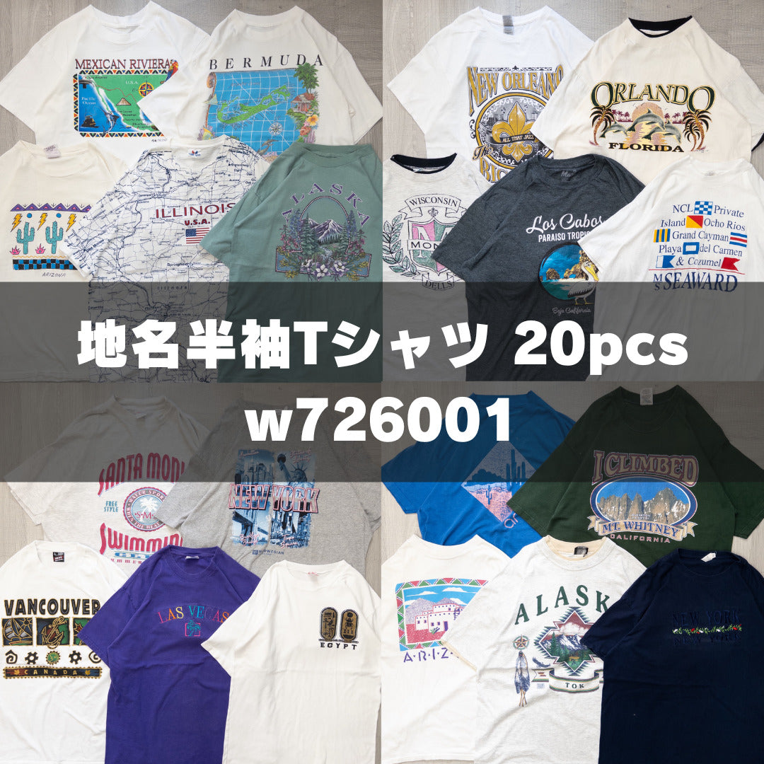 古着卸 現物まとめ売り 洗濯済み 00s~90s 地名半袖Tシャツ 20枚セット(M-XXL) w726001