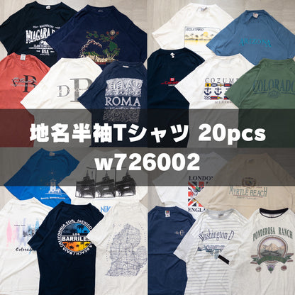 古着卸 現物まとめ売り 洗濯済み 00s~90s 地名半袖Tシャツ 20枚セット(M-XXL) w726002