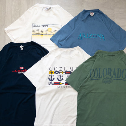 古着卸 現物まとめ売り 洗濯済み 00s~90s 地名半袖Tシャツ 20枚セット(M-XXL) w726002