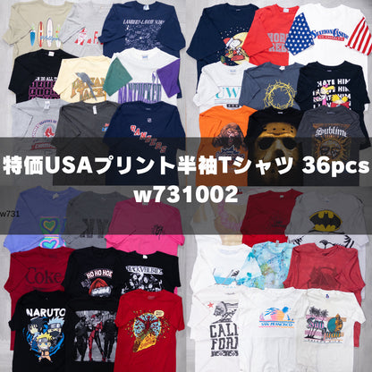 古着卸 現物まとめ売り 洗濯済み 特価USAプリント半袖Tシャツ 36枚セット(S-XXL) w731002