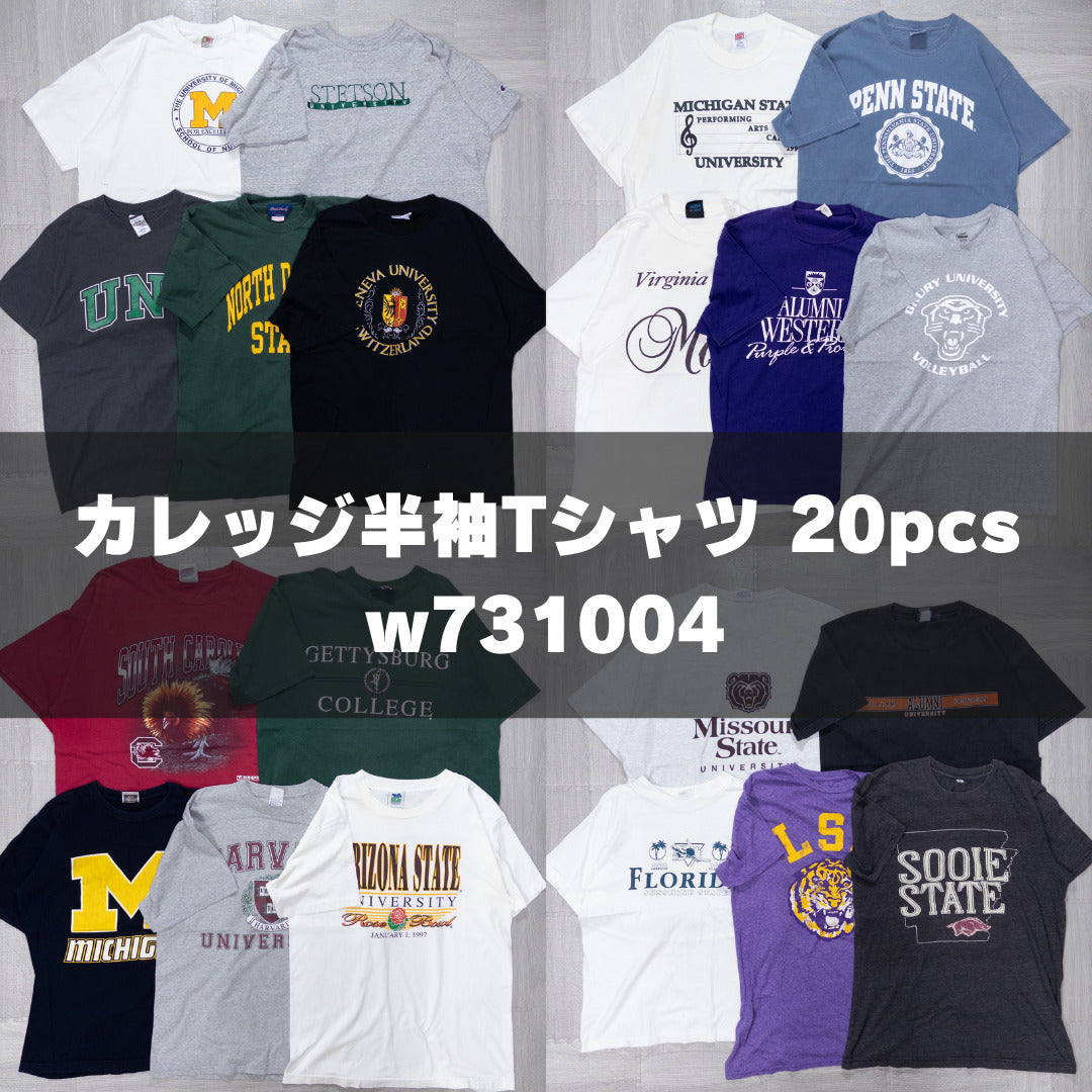 古着卸 現物まとめ売り 洗濯済み カレッジ半袖Tシャツ 20枚セット(S-XL) w731004