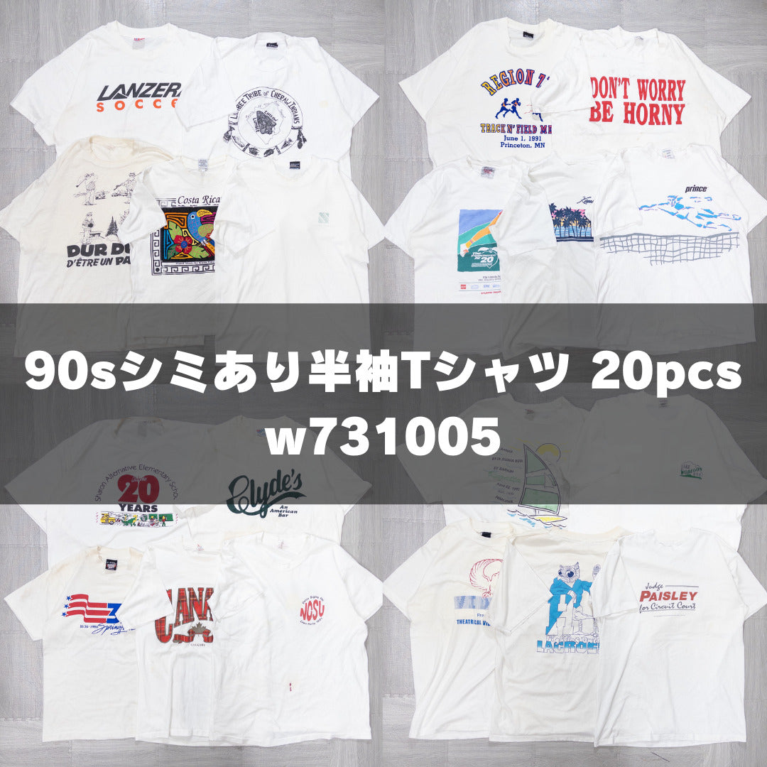 古着卸 現物まとめ売り 洗濯済み 90sシミあり半袖Tシャツ 20枚セット(M-XXL) w731005