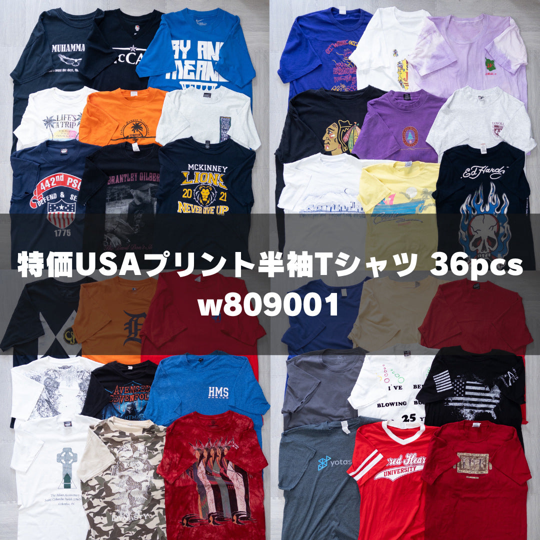 古着卸 現物まとめ売り 洗濯済み 特価USAプリント半袖Tシャツ 36枚セット(XS-XXL) w809001